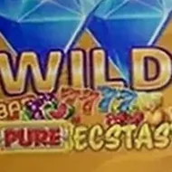 Слот Wild Pure Ecstasy от Pateplay